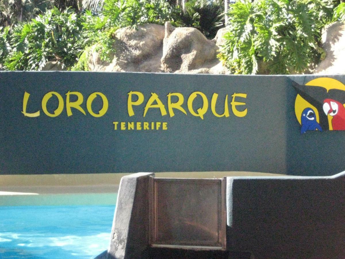 Paula Pool Apartment Adeje Costa Adeje  Εξωτερικό φωτογραφία